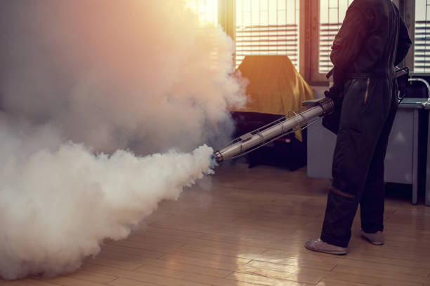 Fogging Services